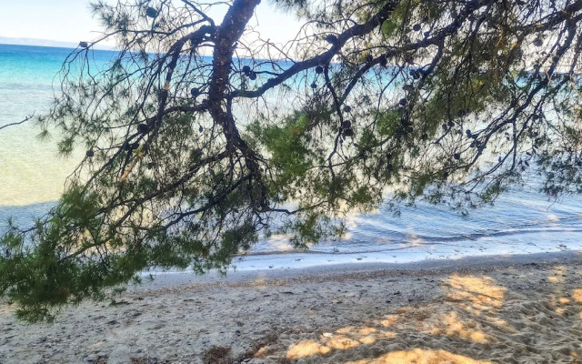 Luxury Apartment in Akti Elias Sithonia