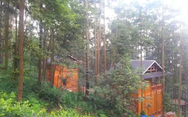 Longrun Forest Hotel