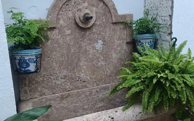 Rosa De Comares