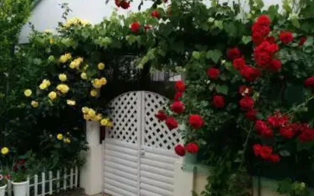 Guest house Vremena Goda