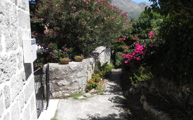 Villa By The Sea Near Dubrovnik