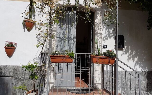 Lucky House