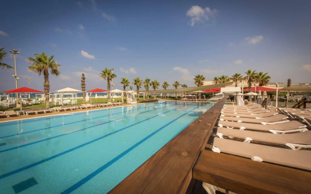 Rimonim Palm Beach Acre
