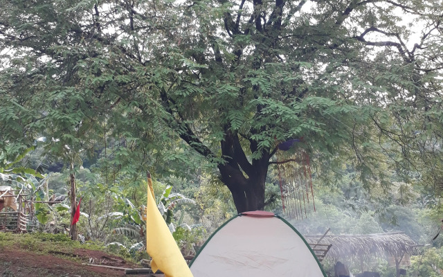Singalong Nature Camphill Site