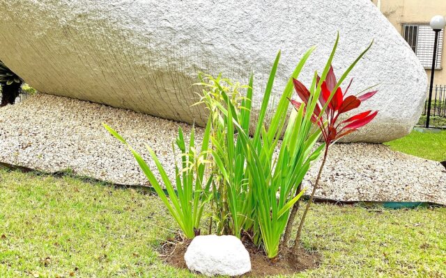 Apartamento Próx Tiete Plaza Shopping