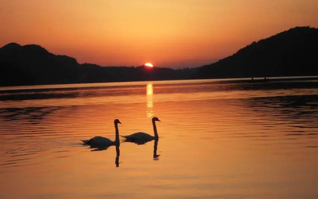 Pension Salzburger Hof