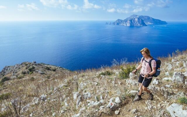 Campanella's Studios