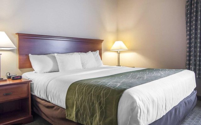 Comfort Inn & Suites Tuscumbia - Muscle Shoals