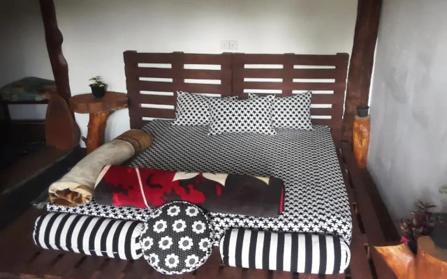 20/20 wood cabana