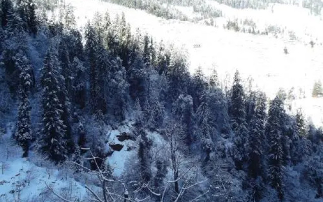 Pines and Peaks Hotel