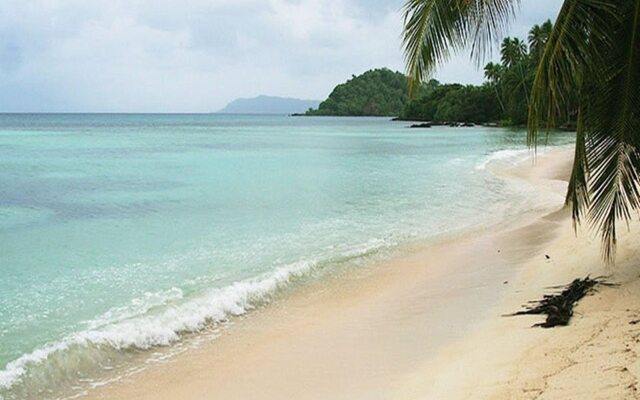 Tarzan's Beach Resort
