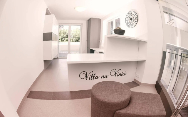 Villa na Vinici