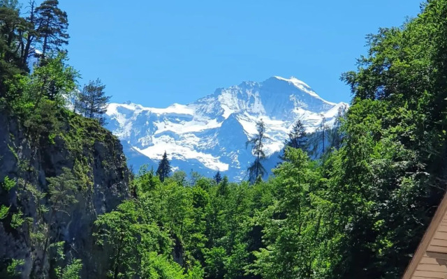 Swiss Mountains Apartments