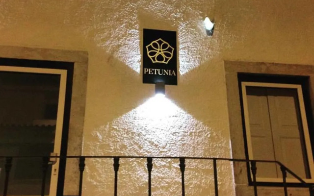 Petunia - Guest House