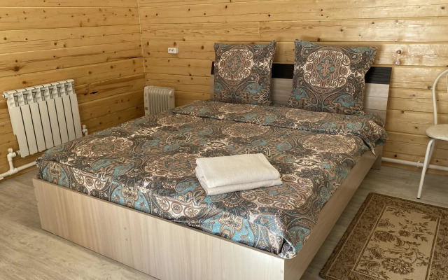 Кедр Золотой