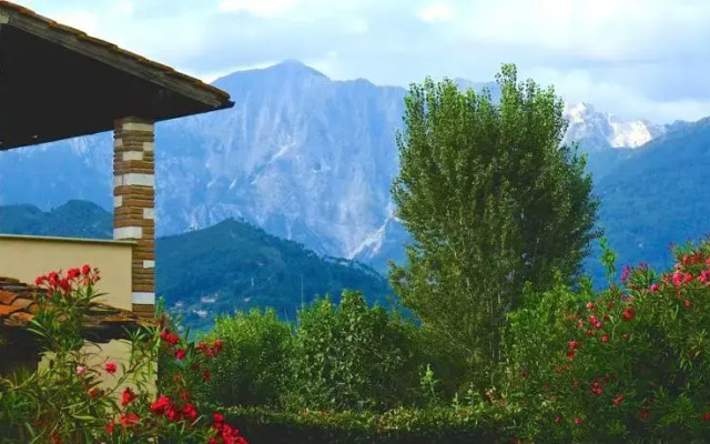 Villa Grazia - Pietrasanta
