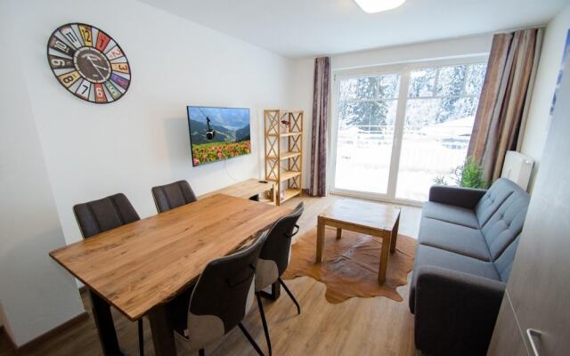 Apartment Summer Winter Fun I - 200 From ski lif