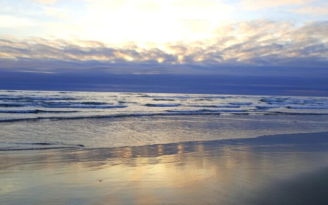 Knee Deep In Paradise