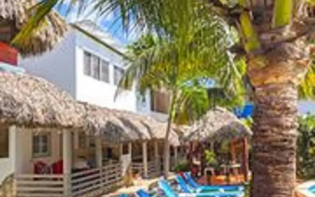 Sosua Adventure  Wellness