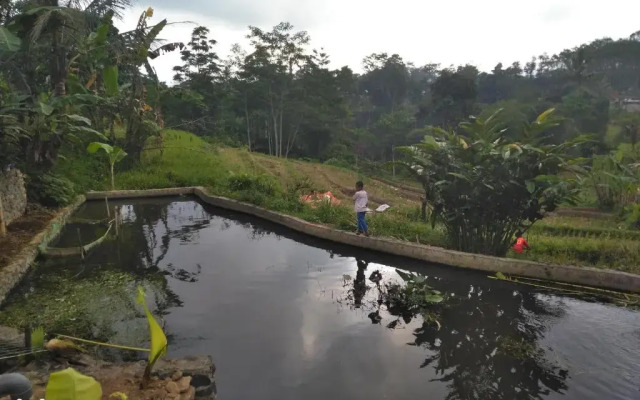 Rumah Sakinah