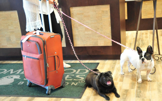 Homewood Suites by Hilton Hamilton, NJ