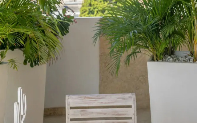 El Cactus Luxury Apartments in Historic Center