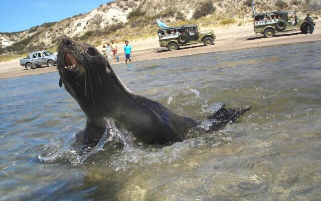 Desert Tracks Rancho