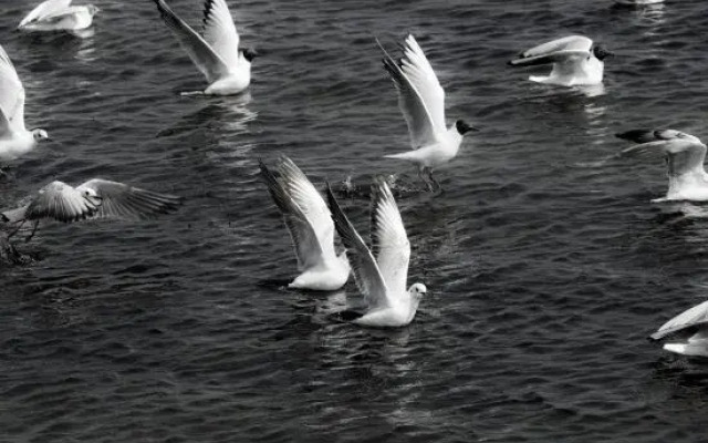Xiaochengshanyue Inn ((Dali Ancient City South Gate)