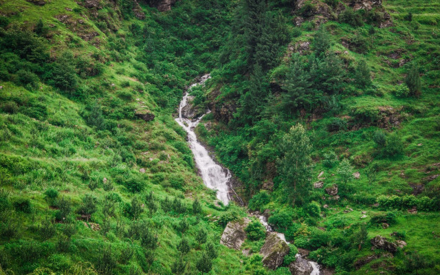 Solang Valley Resort