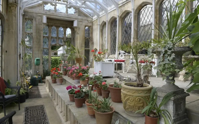 The Orangery Apartment