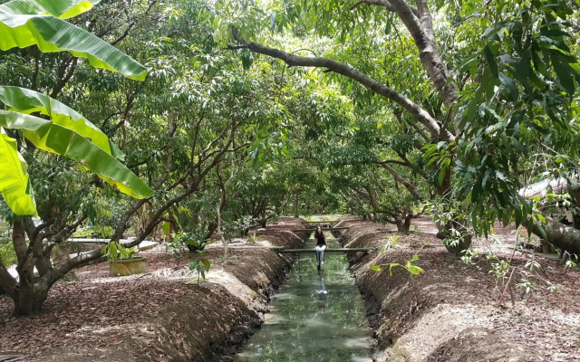 Warakorn Baansuan - Amphawa