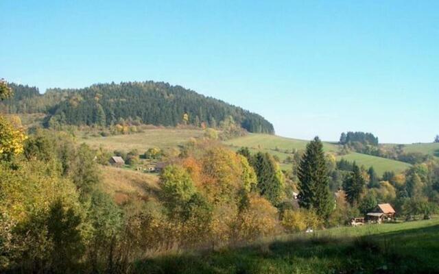 Holiday Home in Vidochov Near Ski Slopes