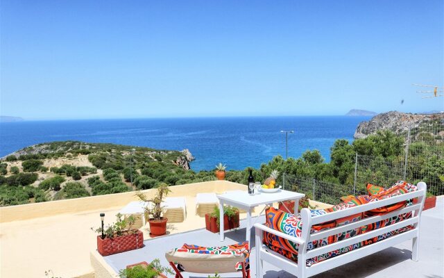 Anemone Seaside Traditional Homes