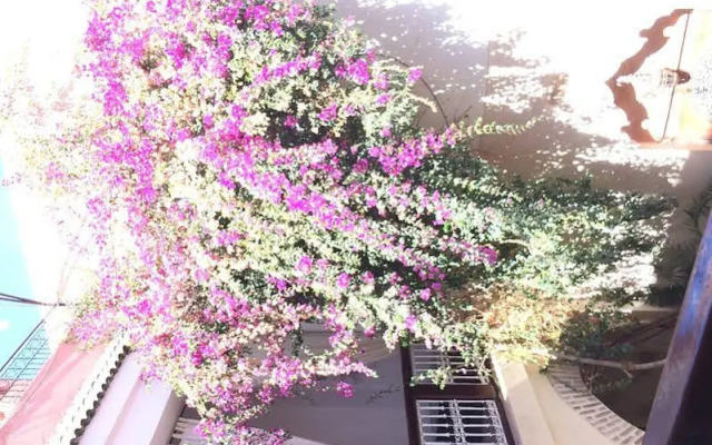 Riad Dar Palmyra