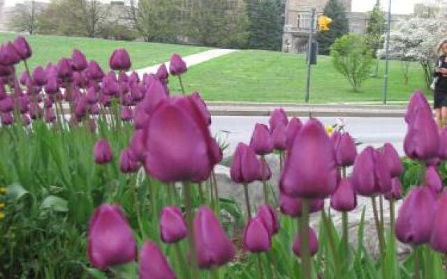 Western Bed and Breakfast - Ontario Hall