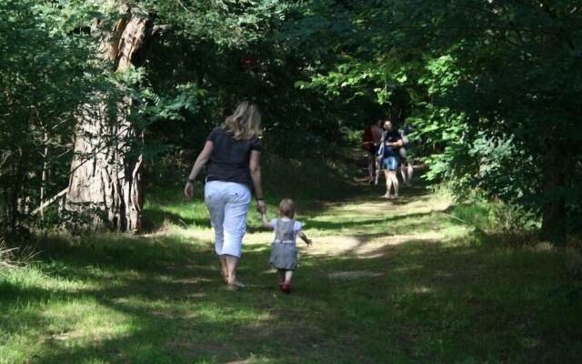 Ferienparadies Waldidylle