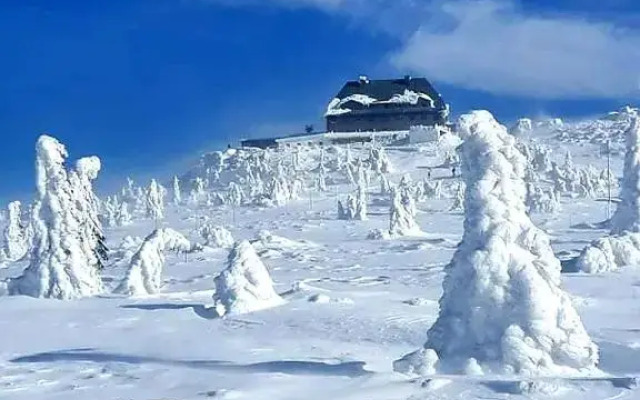 Apartament Nad wierzbami