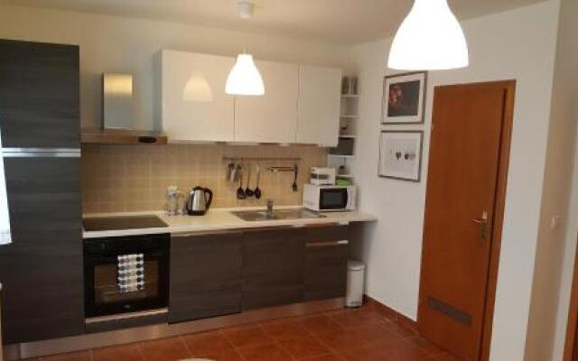 Apartment Roko