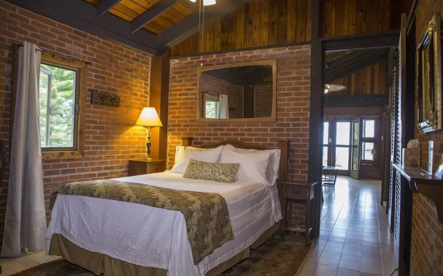 Rainforest Inn
