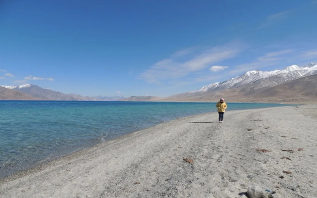 Pangong Paradise