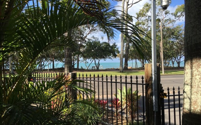 Coconut Palms On The Bay