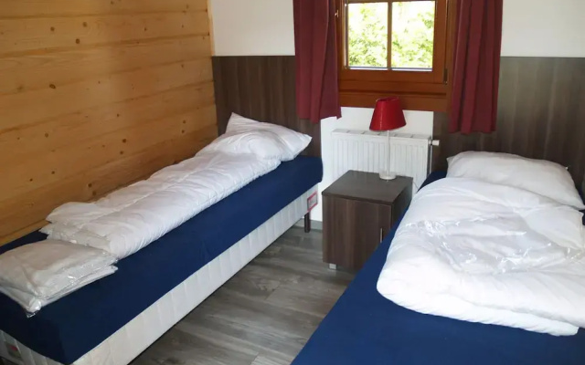 Wooden Chalet in a Holiday Park in the Achterhoek