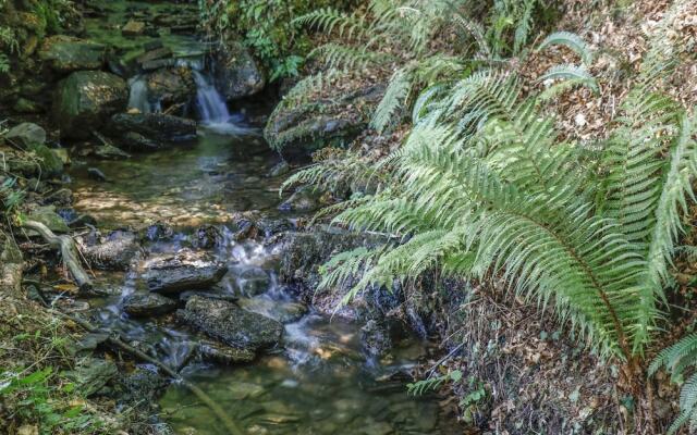 Running Waters