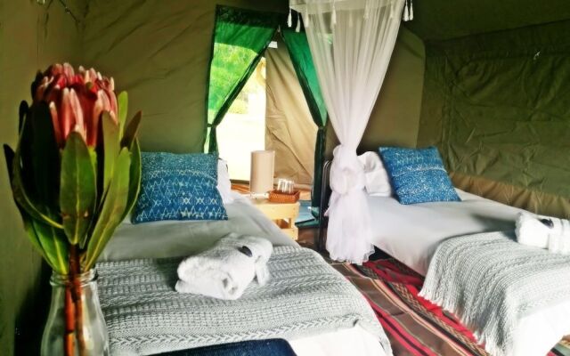 Chiefs - Namaqua Flower Camps