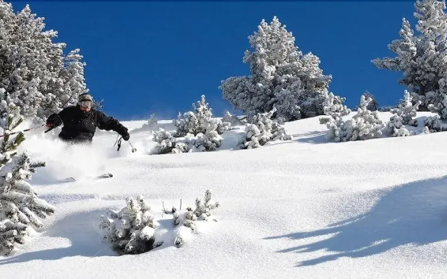 Résidence l'Alpina Lodge