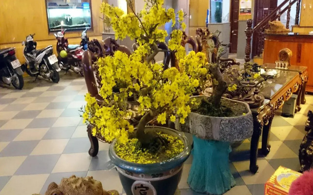 Cao Nguyen Hotel