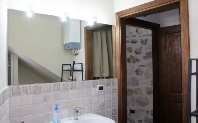 Volpe - Parco Nazionale d'Abruzzo