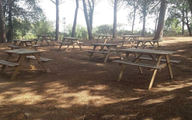 Camping Vila Village