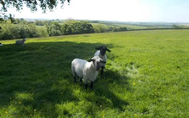 The Barn At Collacott