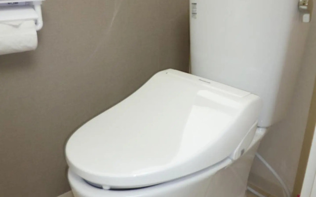 The Mickey Carlton Ohashi 207